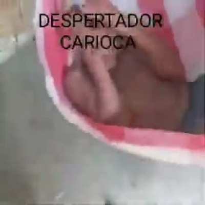 BORA DAR UM APAVORO NESSE SIMIO MENTIROSO, ACORDA MUQUINHA 😡🖕