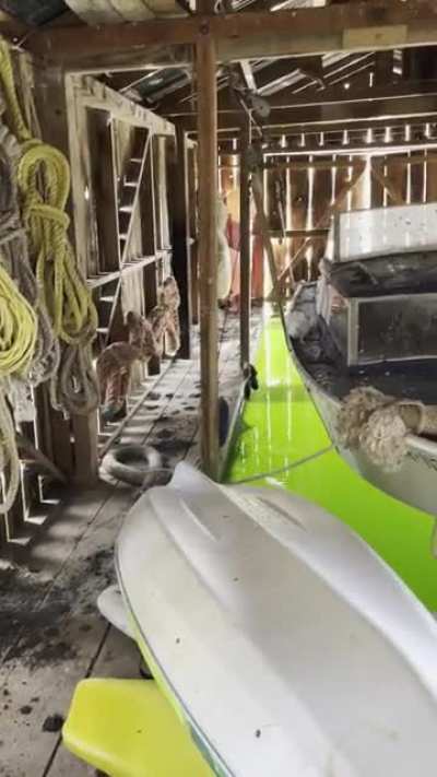 Follow up video of my family&rsquo;s boat house
