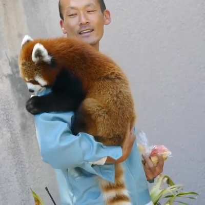 I want his job
