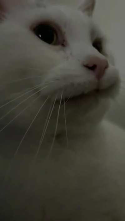 George likes to wake his momma with crispy yells (and a bonus snort)