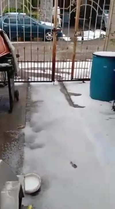 As&iacute; qued&oacute; El Dorado