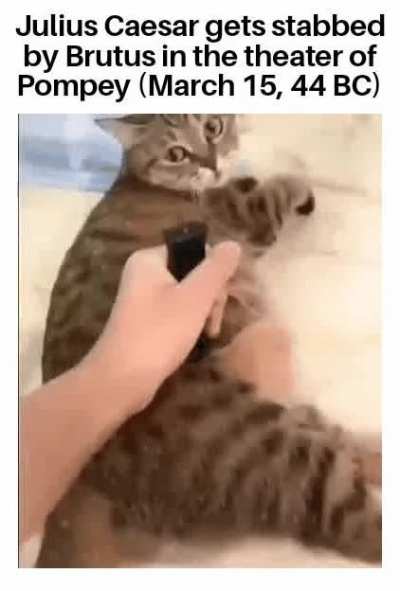 Et tu, Brute?