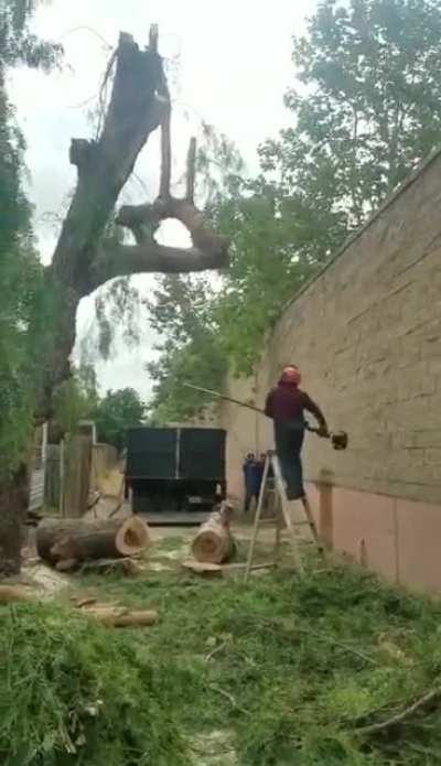 Really safety conscious ?