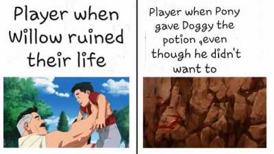 Willow is the reason Doggy got infected and the Player is mad at Pony