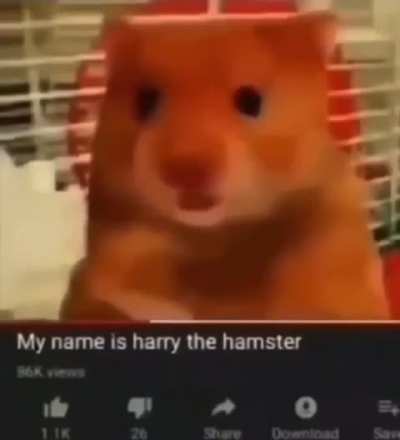 Harry 👍