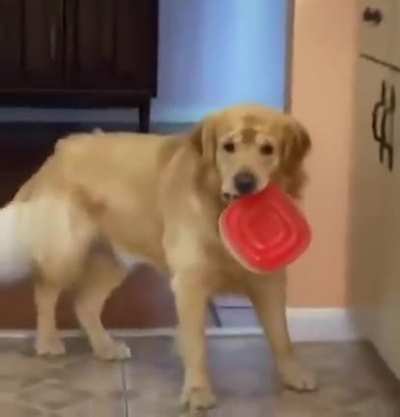 to get some food