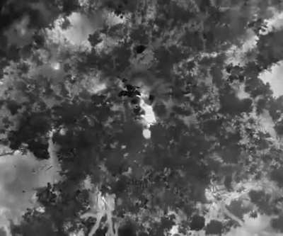 In a game of "hot potato" with a Ukrainian Army drone, a Russian soldier lost dishonorably. He successfully resisted the first, struggled to deal with the second, and was ultimately instructed to fertilize the potatoes by himself by the third.