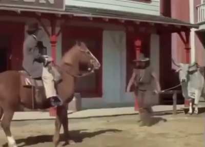You can&rsquo;t park that animal over there!