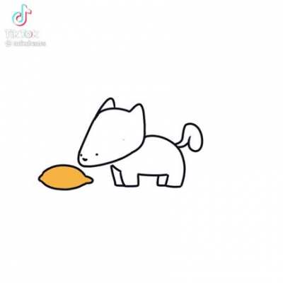 Lemon cat