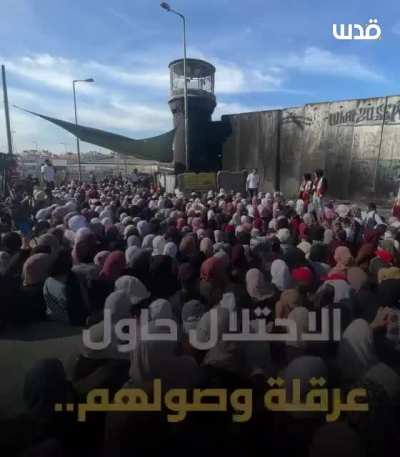 🇵🇸🇵🇸🇵🇸