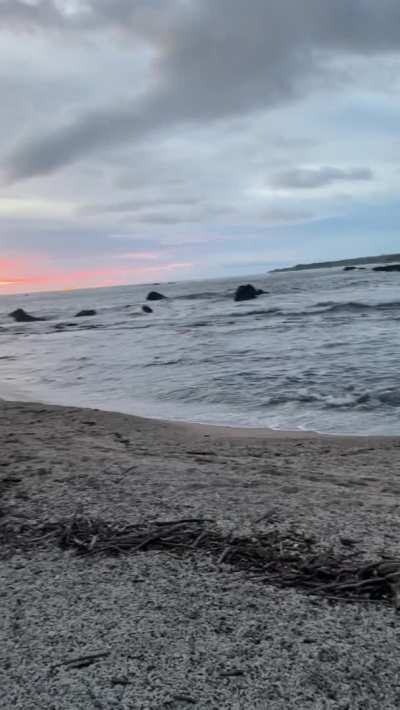 A Beach Day Flash! [GIF]
