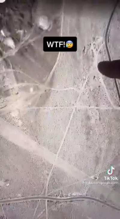 😨😨😨😨😨😨😨