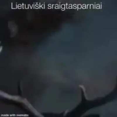 Ostatni polak 🇮🇩 przepedzany z wilna przez sily powietrzne litewskiej socjalistycznej republiki radzieckiej 🇸🇰 (1946 koloryzowane) 😔
