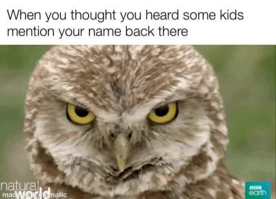 Hoooo&rsquo;s talking about me?