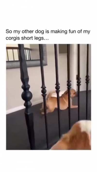He said "Don't"