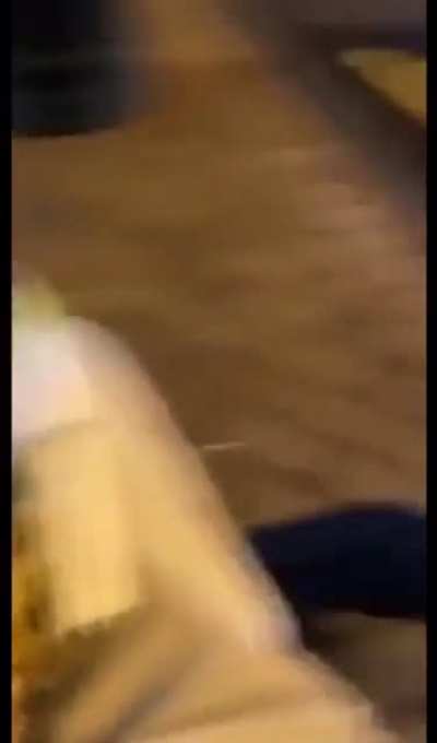 I&rsquo;m a seagull