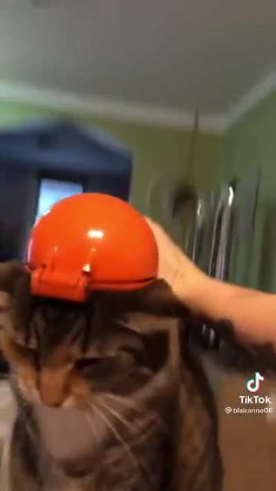 SadistIC FUCk sCalPs Cat FOR tHEiR OWn ENjoYmeNt! VieWER dIScretIOn advISEd!1!1