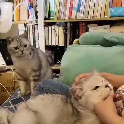 I want to be loved too