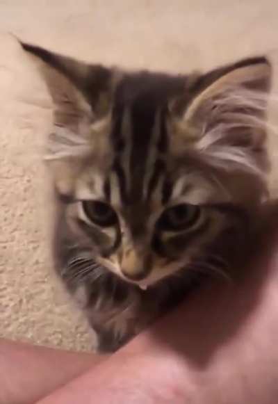 He screm