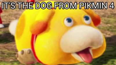 IT'S THE DOG FROM PIKMIN 4