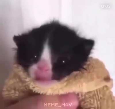 Ah