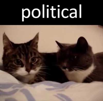 Politics