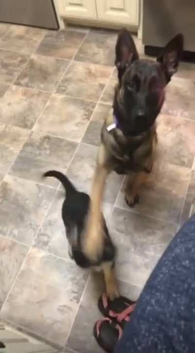 &ldquo;Don&rsquo;t ruin this for me kid.&rdquo;