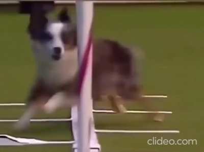 Ele t&aacute; fazendo o seu melhor