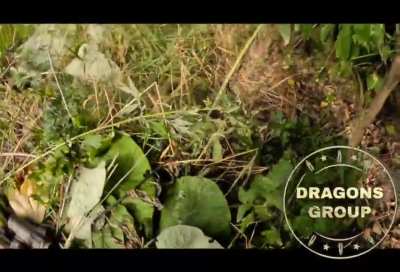 Ukrainian soldiers belonging to the "Dragons Group" take cover from Russian artillery fire somewhere in Kursk Oblast, August 2024