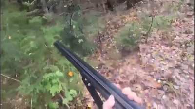 В тайге без стальных яек не выжить