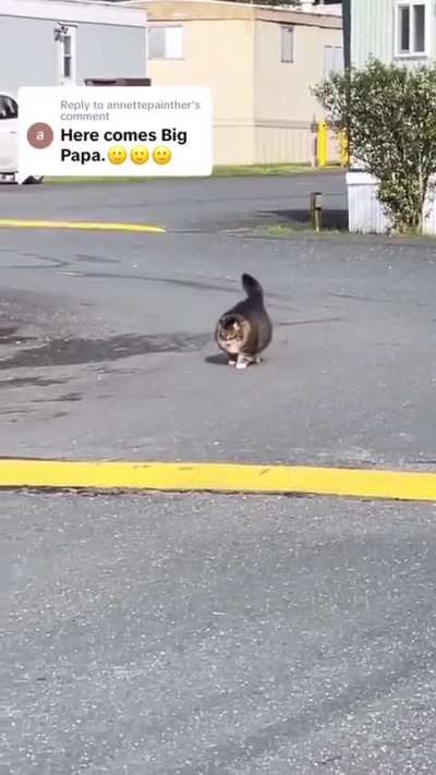 Oh lawd, he comin'!