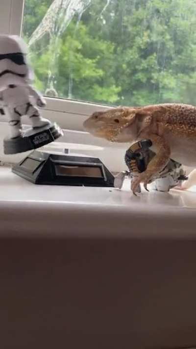Cold blooded murder