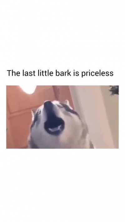 huskies the side singer?