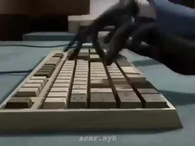 Voila