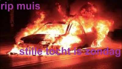 rip muis