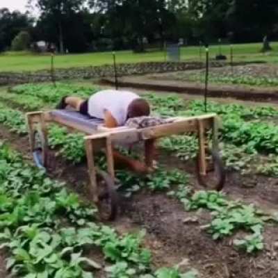 Makes weeding the garden that much easier