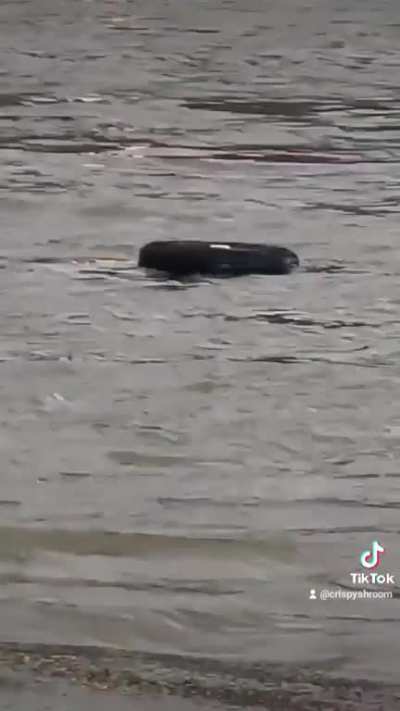 Is that a tire!?