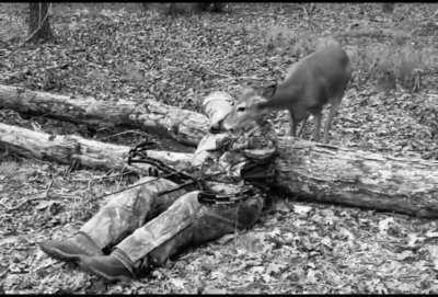 Oh deer