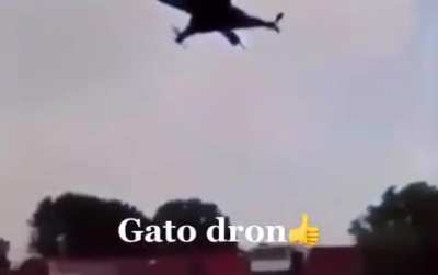Gato Dron 👍