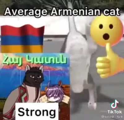 🤑🤑🤑turksh