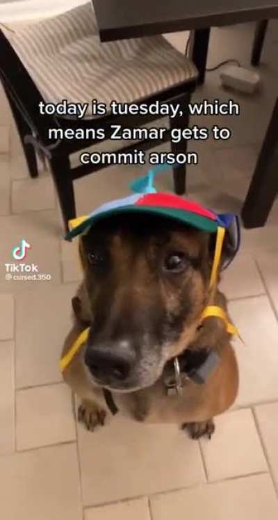 No one can stop him. We will all soon face Zamar&rsquo;s Wrath.