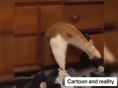 meirl