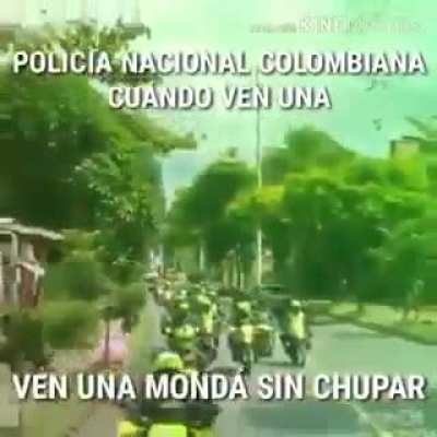 Sorneros
