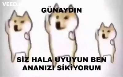 Maqiu &ouml;zel