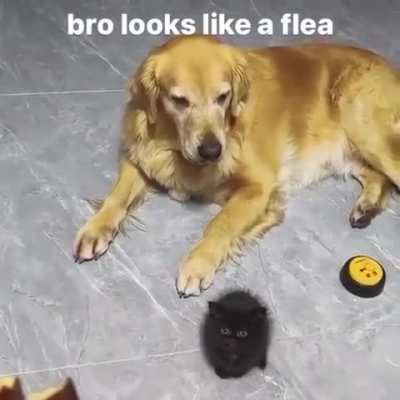 Took me a second