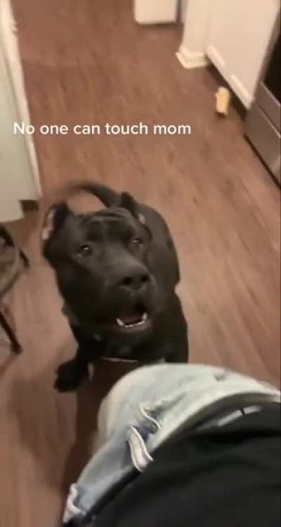 No touching!