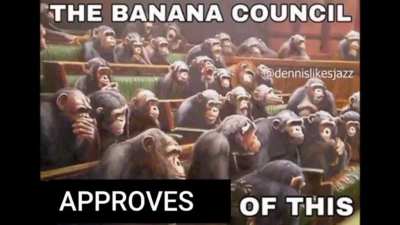 dont stop monke now.