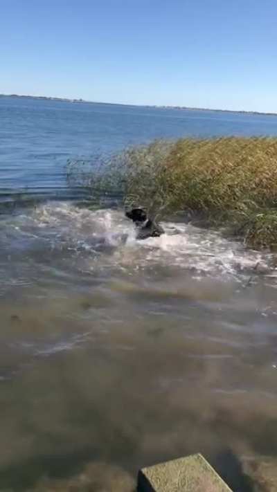 Was suggested I post this here. Water slammies.