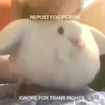 Yea
