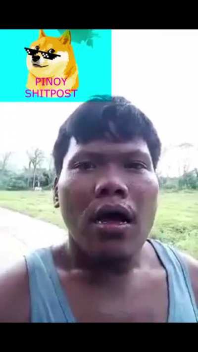sHITPOST sTATUS